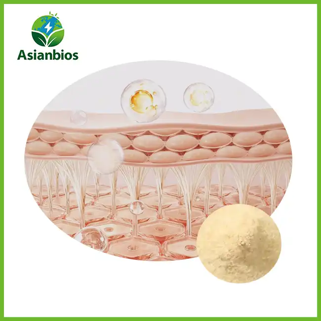 Elastin Peptide Powder
